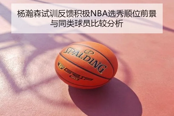 杨瀚森试训反馈积极NBA选秀顺位前景与同类球员比较分析
