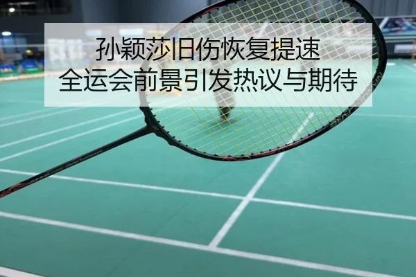 孙颖莎旧伤恢复提速 全运会前景引发热议与期待